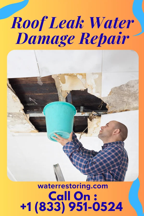 Roof Leak Water Damage Repair in McCracken, KS