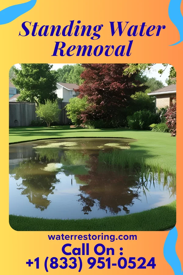 Standing Water Removal in McCracken, KS